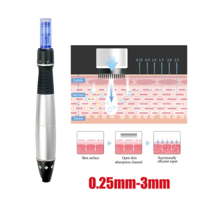 Dermapen elettronico con microaghi nano/acciaio, timbro automatico, rullo meso-derma motorizzato Dre80